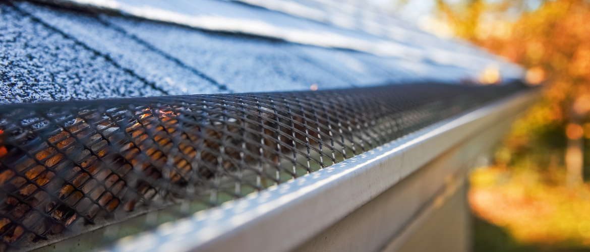 Do Gutters Really Safeguard Your Roof and Home?
