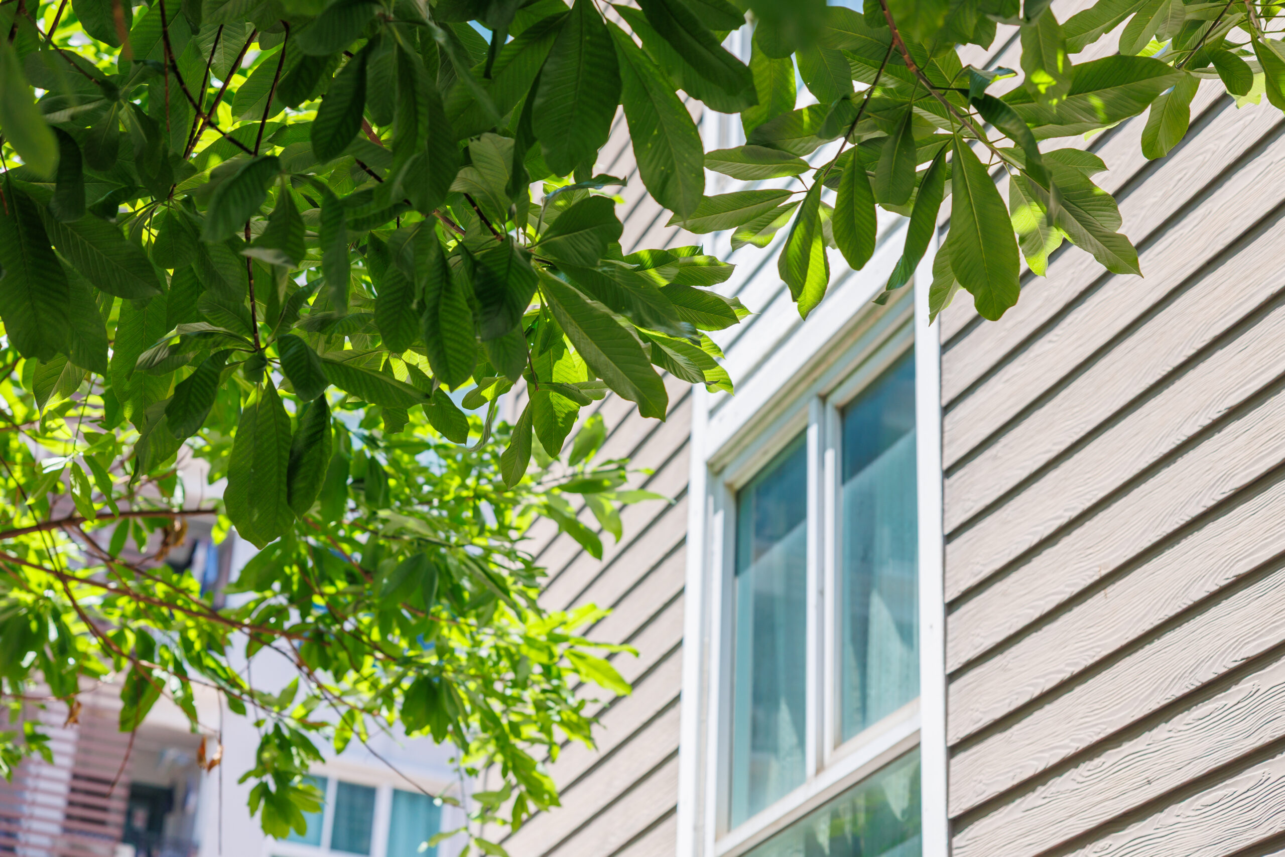 Cracked, Warped, or Faded? Signs You Need Siding Replacement