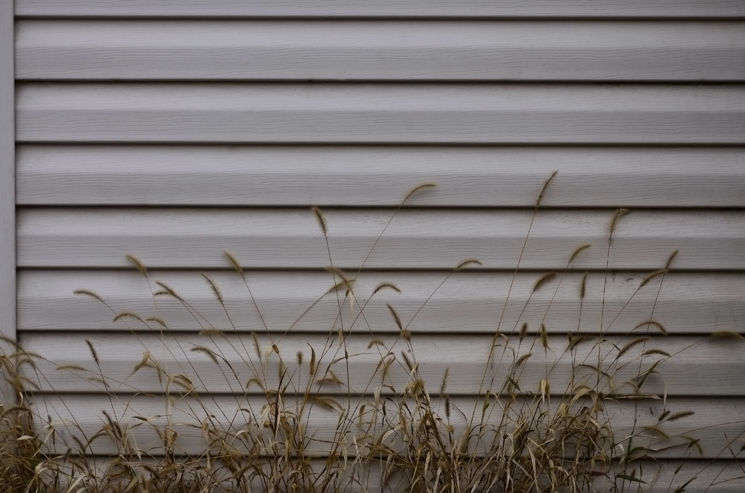 How to Clean Vinyl Siding